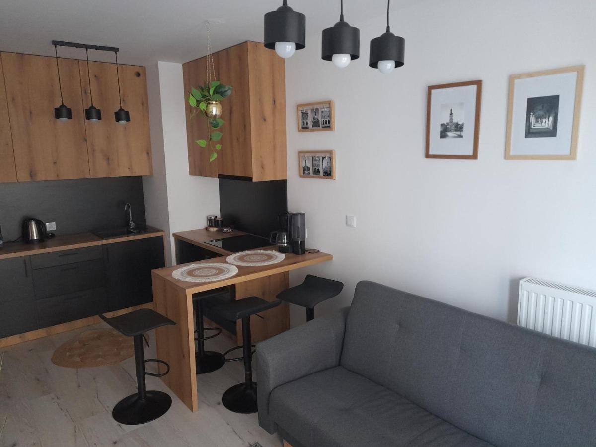 Apartament Amelia Zamość 外观 照片