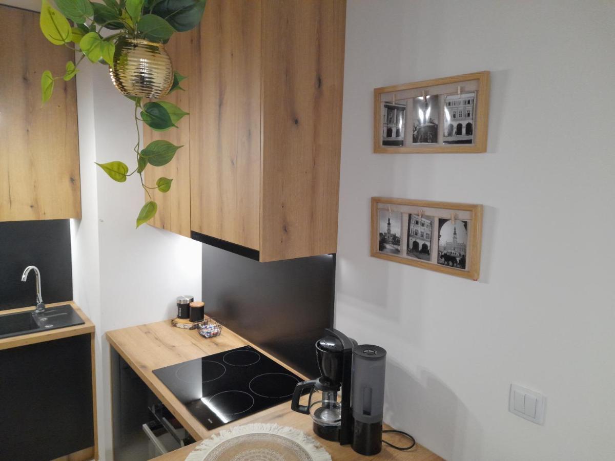 Apartament Amelia Zamość 外观 照片